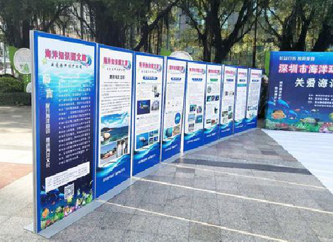 顺昌KT板的种类和知识。